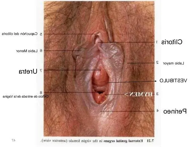 Sensitiva Tantrica - +34617510477 - immagine 3 di 8