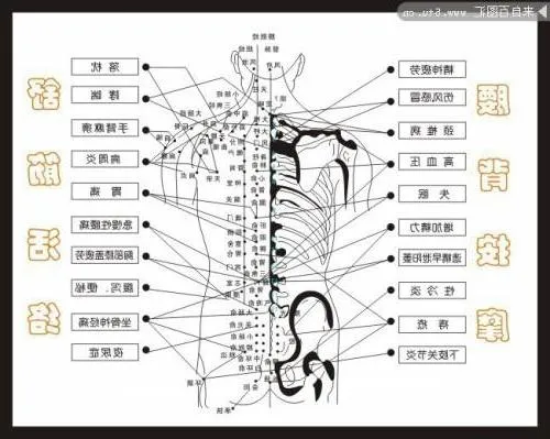 Masaje Felip 69 - +34 640763365 - immagine 3 di 14