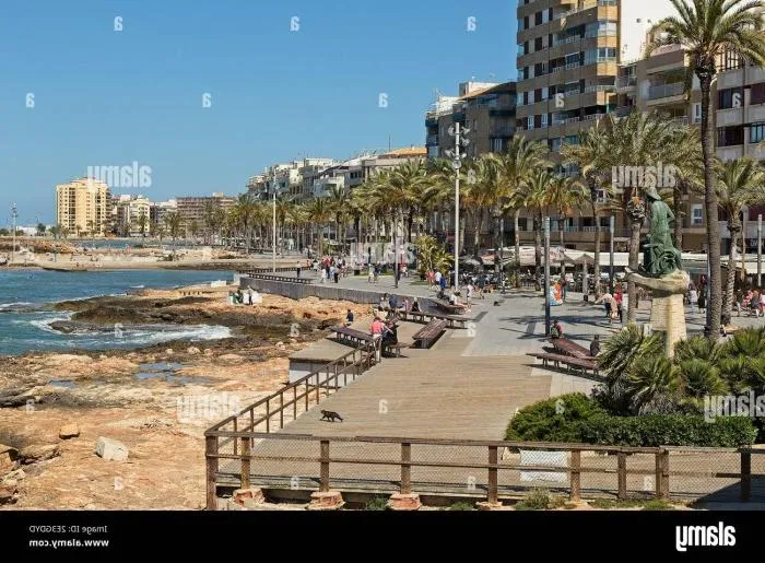 Centro de Masajes Torrevieja - +34 631067707 - immagine 3 di 4