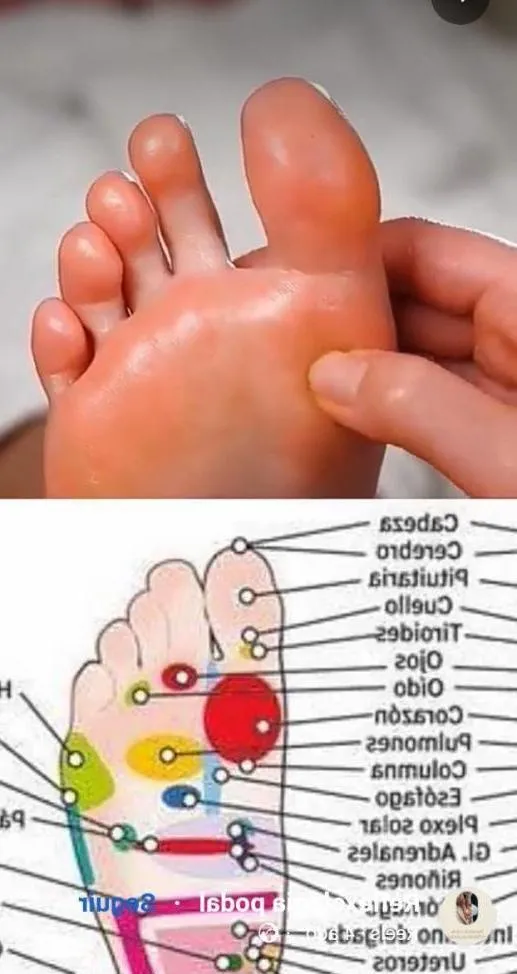 Novedad Masajes - +34 622302111 - copertina