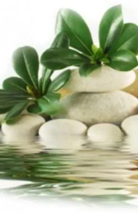 Bienestar Tantra Zaragoza - +34672550828 - immagine 2 di 5