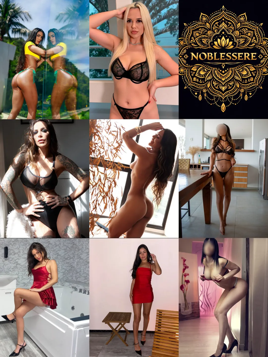 Noblessere  - copertina