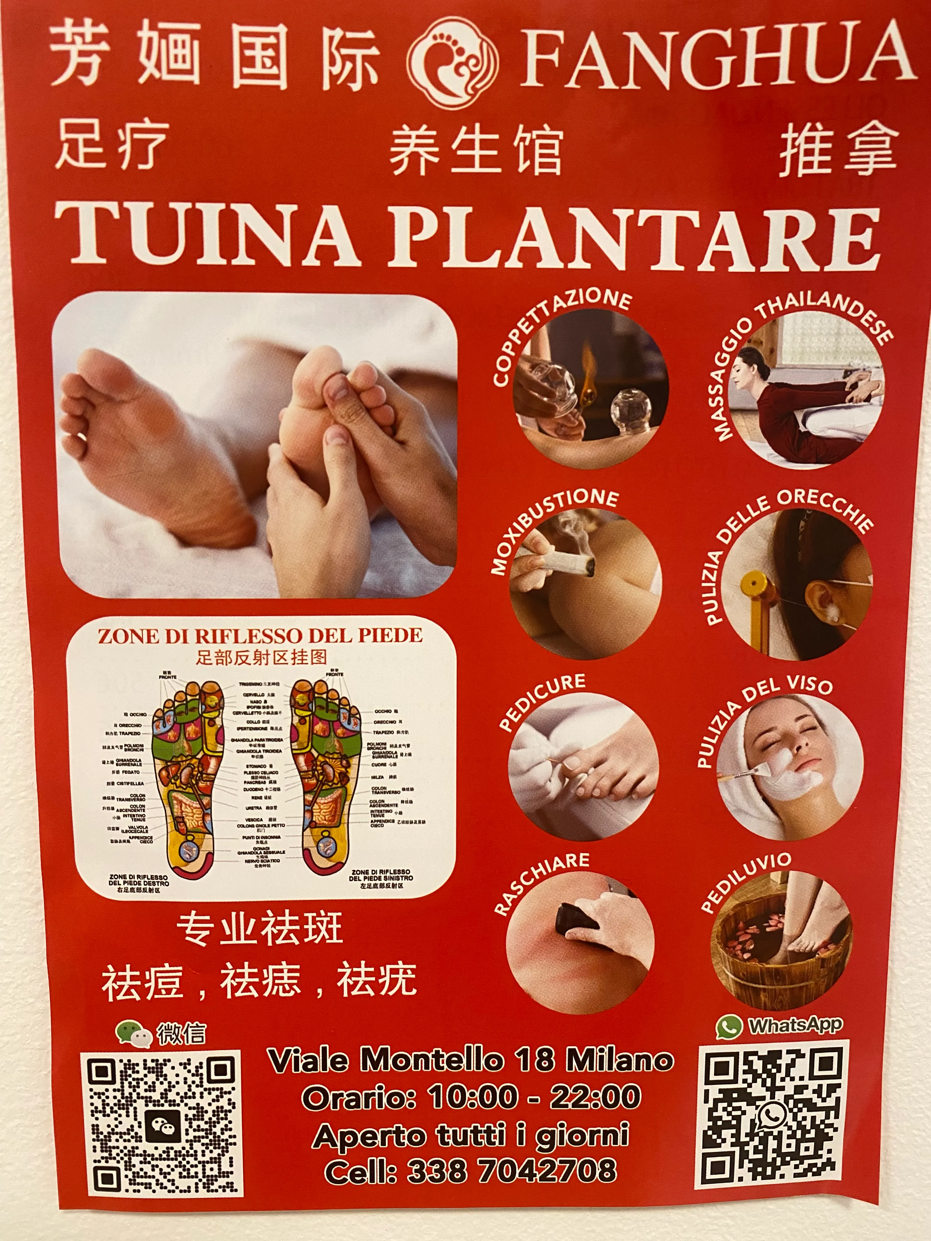 FANGHUA TUINA PLANTARE - copertina