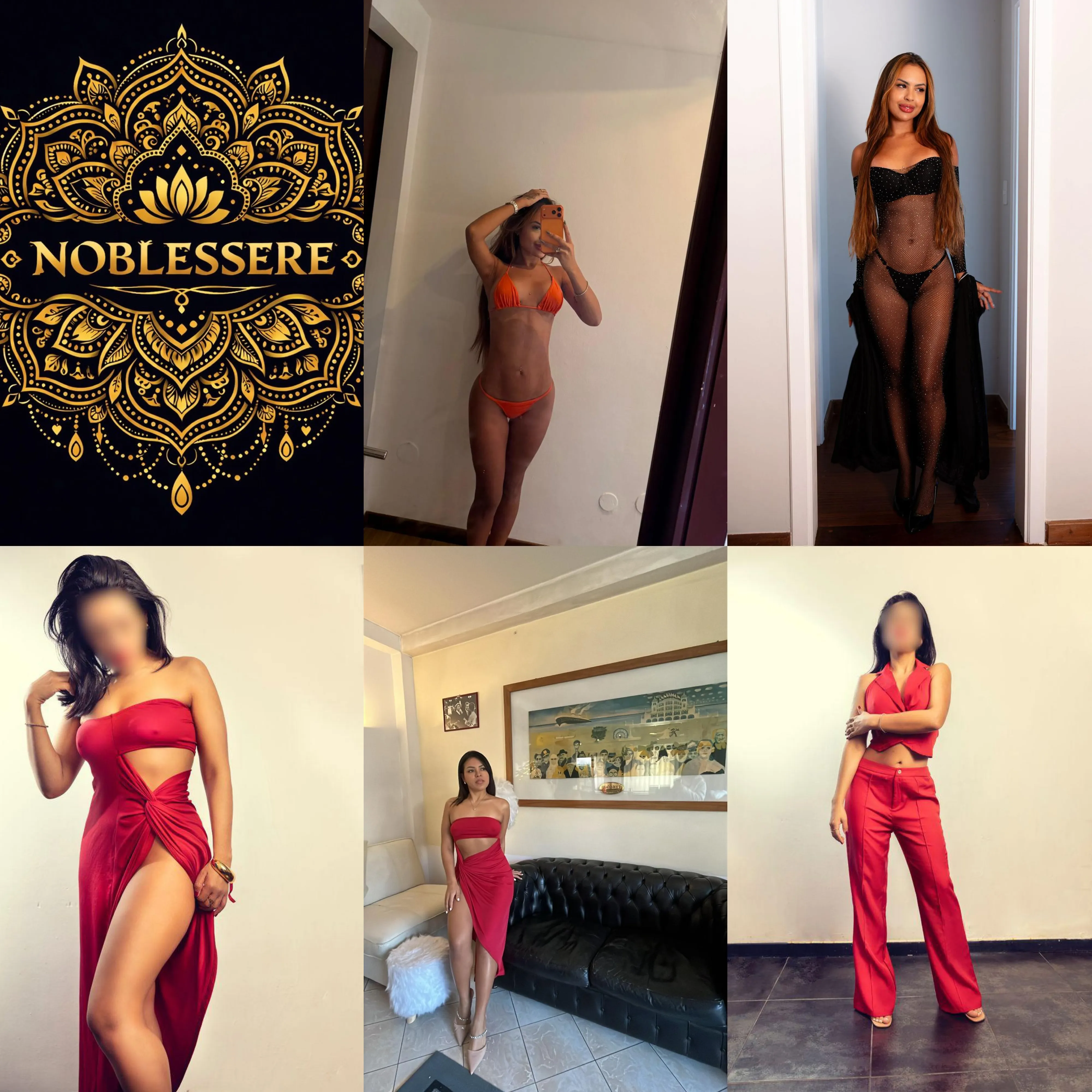 Noblessere  - copertina