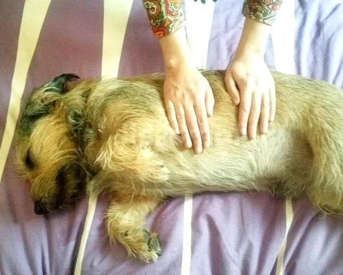 Tifanny Masajes Guadalajara - +34 643813852 - immagine 2 di 2