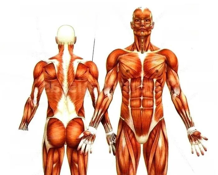 Serenidad Benalmádena - +34 672501467 - immagine 2 di 4