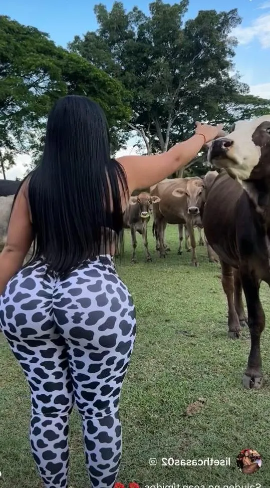 Hola Amor Spa - +34 631983198 - copertina