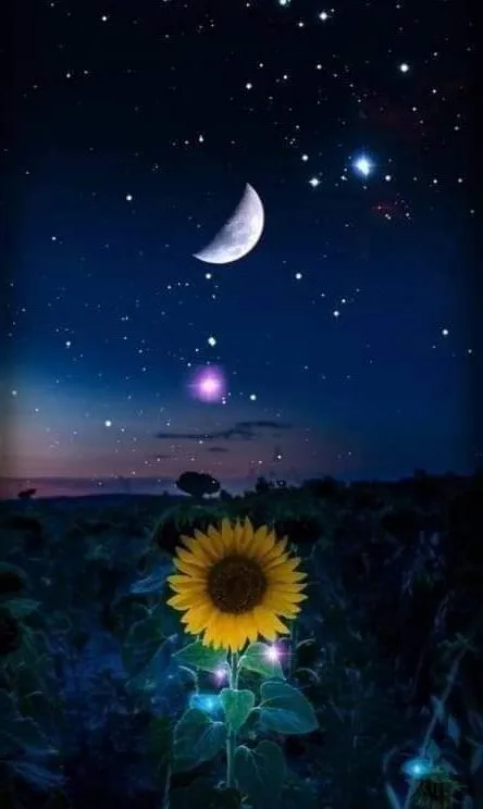 Cuatro Manos Relax - +34 666010527 - copertina