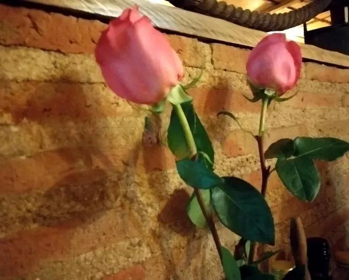 Quiromasajes Serenidad - +34 699547497 - immagine 2 di 2