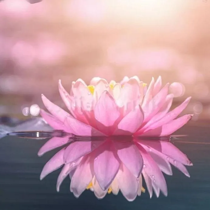 Mar Sensual Spa - +34 613626422 - copertina