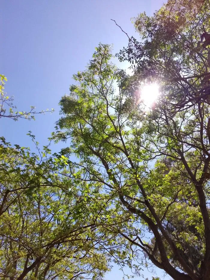 Relajación ANA - +34 666568447 - copertina