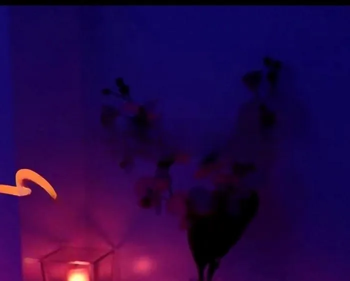 Sensualidad en Movimiento - +34 633152054 - copertina