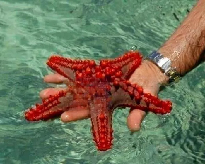 Relajación Lleida - copertina