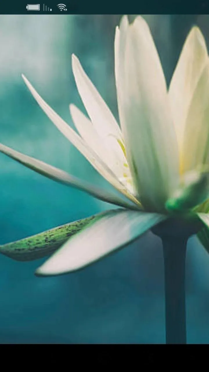 Sensaciones Zaragoza - +34 633360681 - immagine 2 di 2