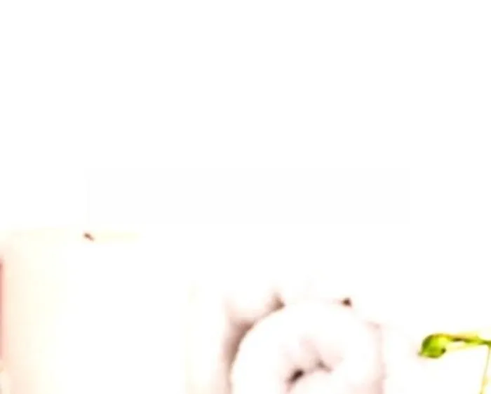 Oasis de Relajación - portada