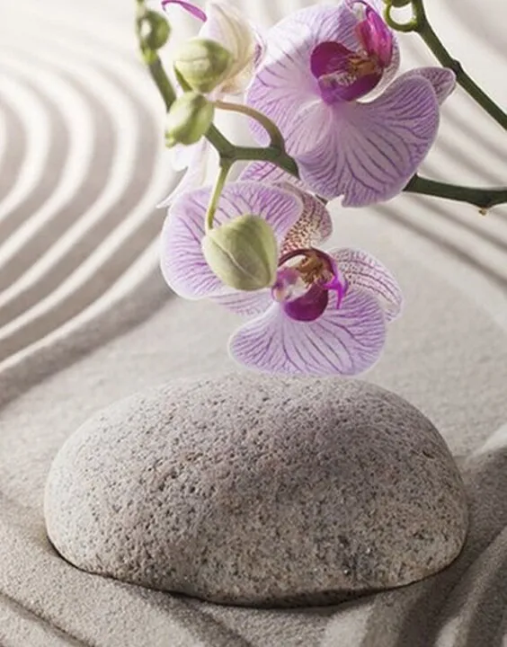 MICHEL - +34 613906272 - immagine 2 di 2