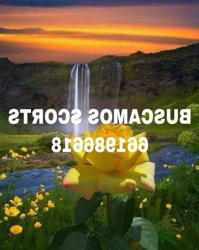 Centro de Masajes María - +34 661986618 - immagine 2 di 2